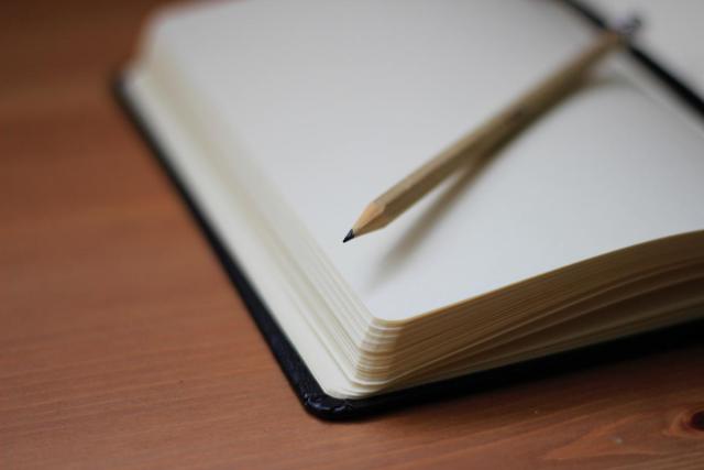 photo of a pencil sitting on an open blank book page