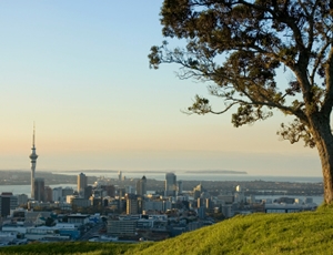 auckland-landscape